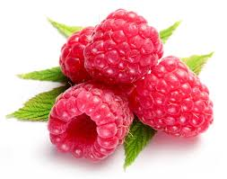 raspberry ketone diet